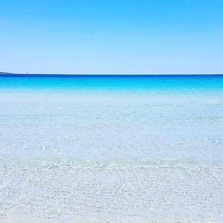 Сasa de vacaciones Amazing House 10 Min By Car From The Olbia