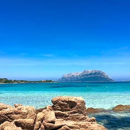 Amazing House 10 Minutes By Car From The Casa vacanze Olbia